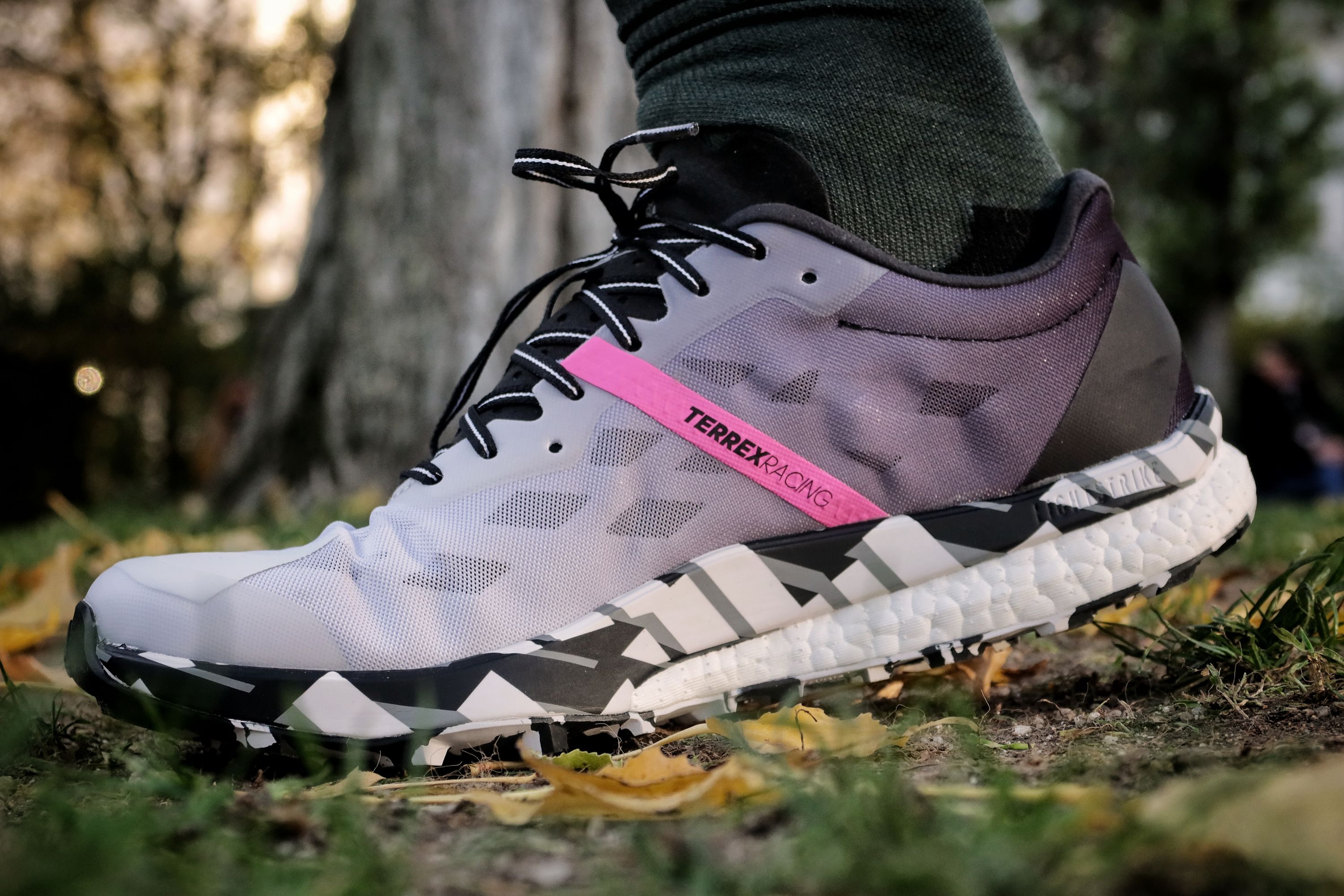 Le test des Adidas Terrex Speed Ultra, pour la performance